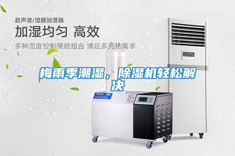 梅雨季潮濕，草莓小视频黄色輕鬆解決
