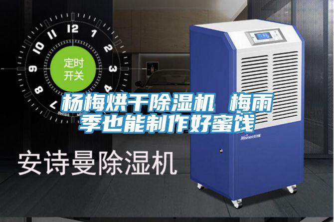 楊梅烘幹草莓小视频黄色 梅雨季也能製作好蜜餞