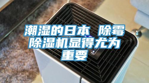 潮濕的日本 除黴草莓小视频黄色顯得尤為重要