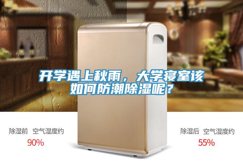 開學遇上秋雨，大學寢室該如何防潮除濕呢？