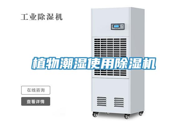 植物潮濕使用草莓小视频黄色