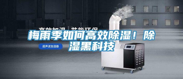 梅雨季如何高效除濕！除濕黑科技