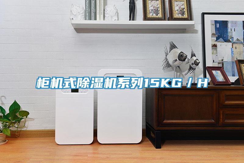 櫃機式草莓小视频黄色係列15KG／H