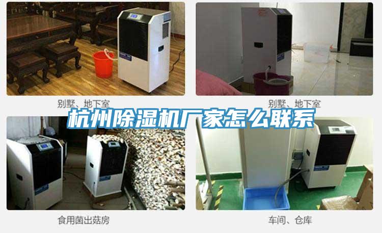 杭州草莓小视频黄色廠家怎麽聯係