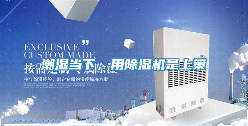 潮濕當下，用草莓小视频黄色是上策