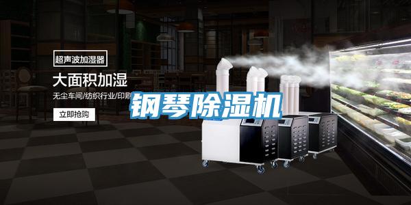 鋼琴草莓小视频黄色