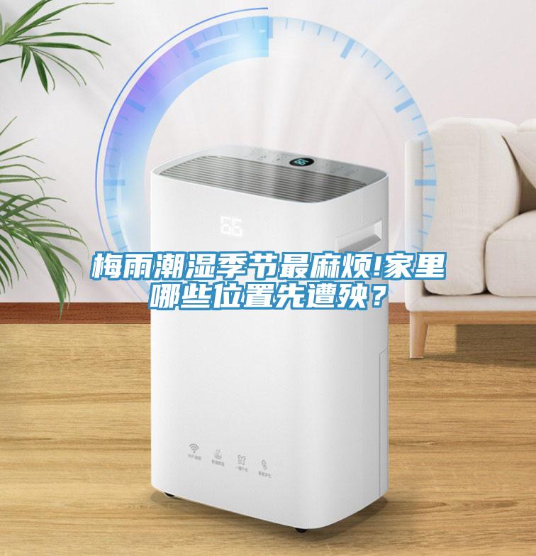 梅雨潮濕季節最麻煩!家裏哪些位置先遭殃？
