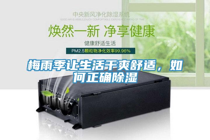 梅雨季讓生活幹爽舒適，如何正確除濕