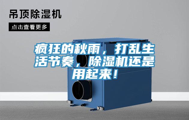 瘋狂的秋雨，打亂生活節奏，草莓小视频黄色還是用起來！