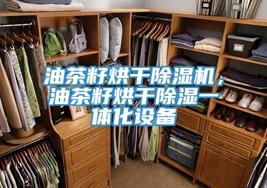 油茶籽烘幹草莓小视频黄色，油茶籽烘幹除濕一體化設備