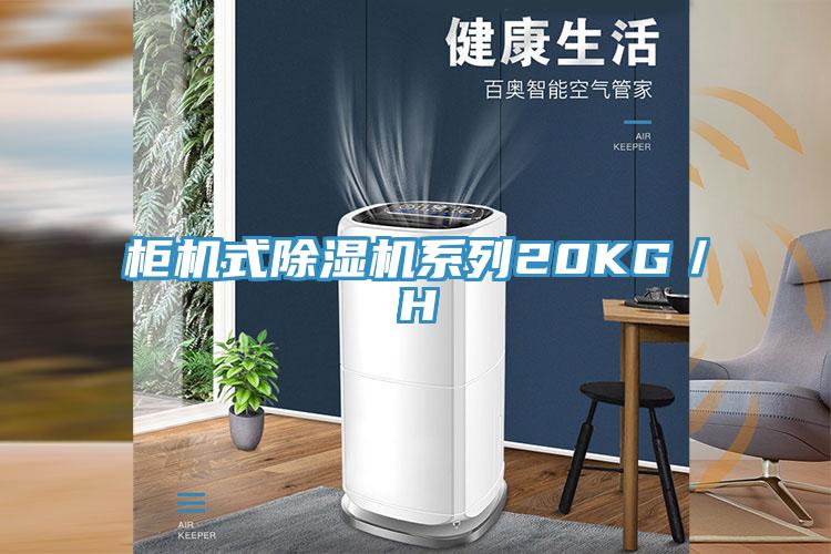 櫃機式草莓小视频黄色係列20KG／H
