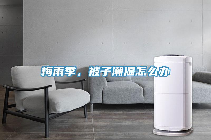 梅雨季，被子潮濕怎麽辦