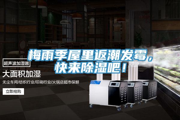 梅雨季屋裏返潮發黴，快來除濕吧！
