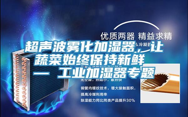 超聲波霧化加濕器，讓蔬菜始終保持新鮮 — 工業加濕器專題