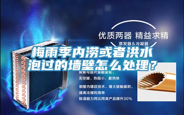 梅雨季內澇或者洪水泡過的牆壁怎麽處理？