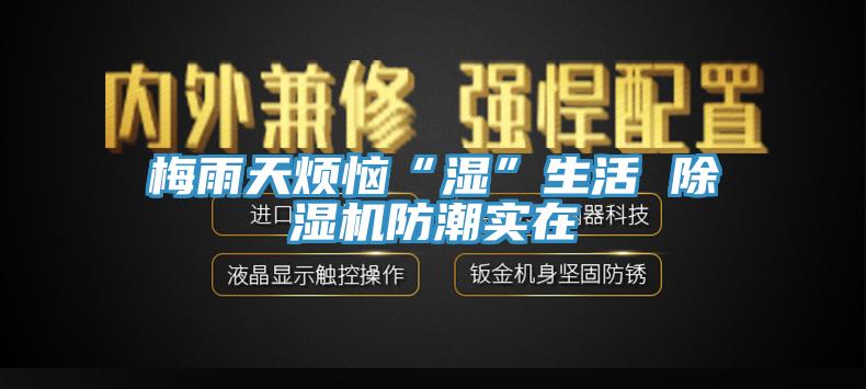 梅雨天煩惱“濕”生活 草莓小视频黄色防潮實在