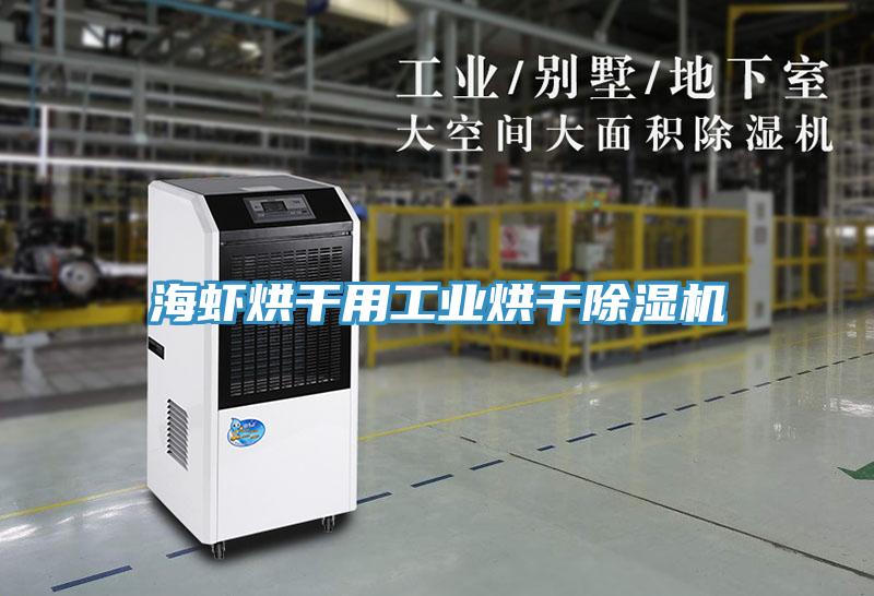 海蝦烘幹用工業烘幹草莓小视频黄色