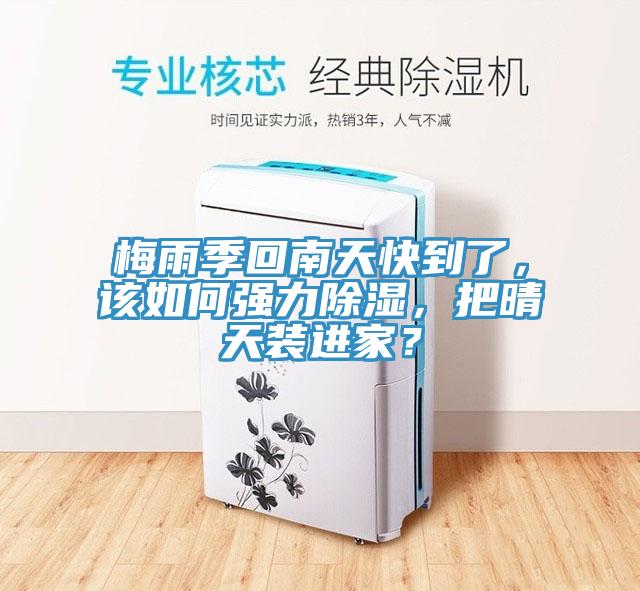 梅雨季回南天快到了，該如何強力除濕，把晴天裝進家？