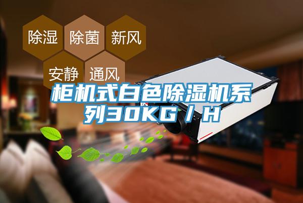 櫃機式白色草莓小视频黄色係列30KG／H