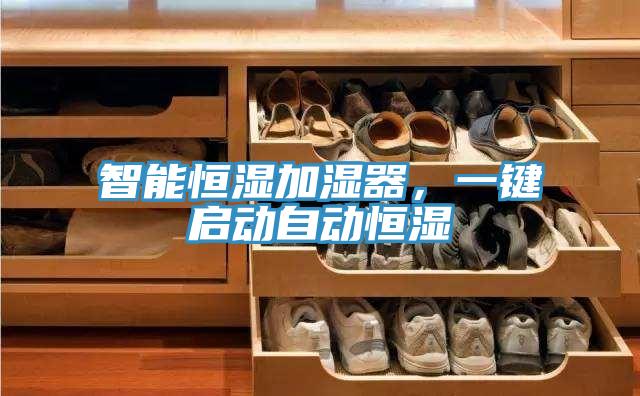 智能恒濕加濕器，一鍵啟動自動恒濕