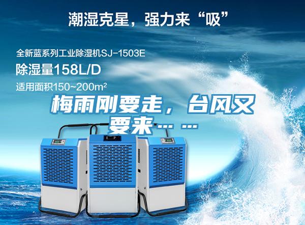 梅雨剛要走，台風又要來……