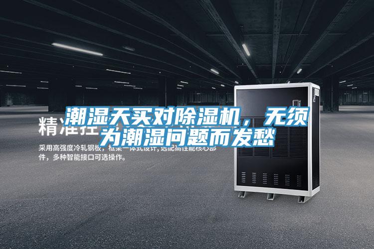 潮濕天買對草莓小视频黄色，無須為潮濕問題而發愁