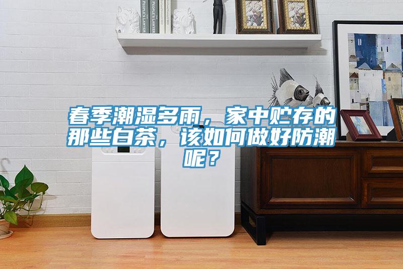 春季潮濕多雨，家中貯存的那些白茶，該如何做好防潮呢？