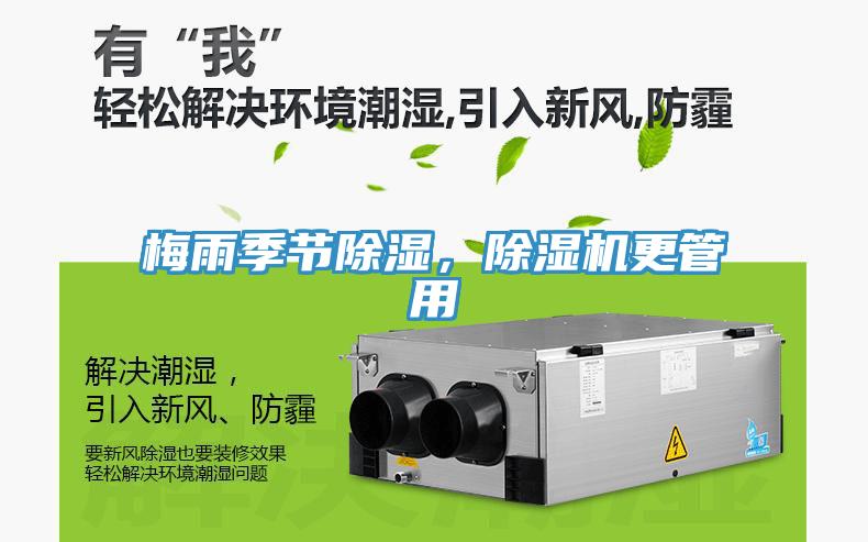 梅雨季節除濕，草莓小视频黄色更管用