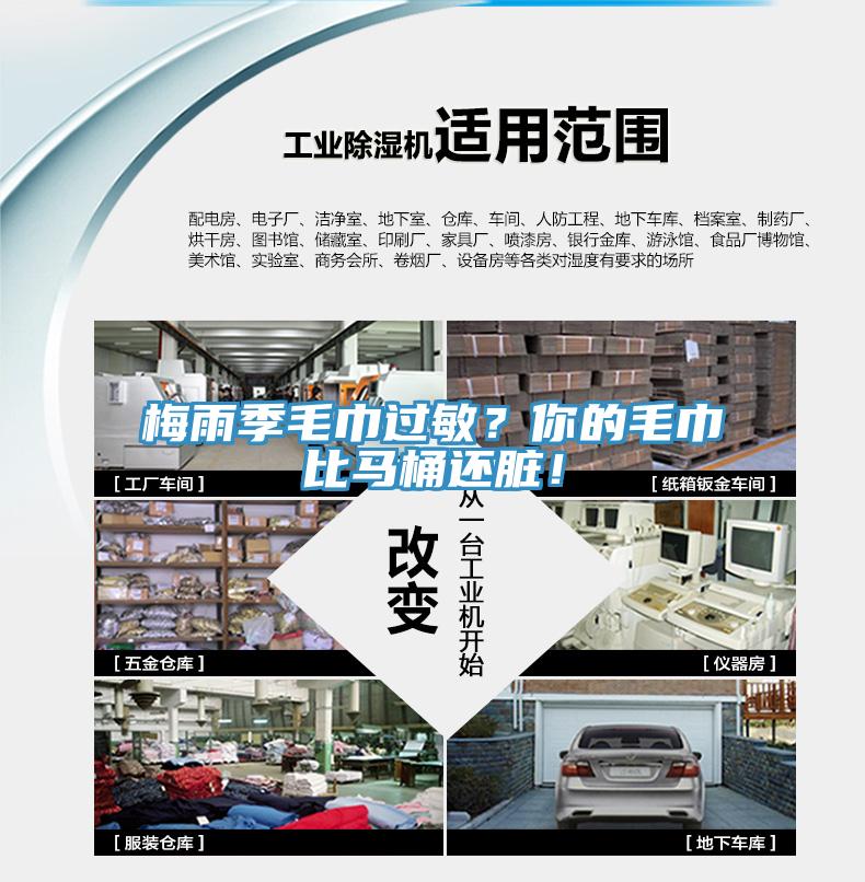 梅雨季毛巾過敏？你的毛巾比馬桶還髒！