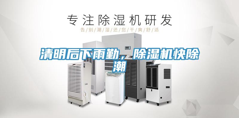 清明後下雨勤，草莓小视频黄色快除潮