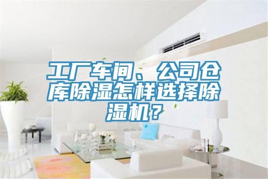 工廠車間、公司倉庫除濕怎樣選擇草莓小视频黄色？