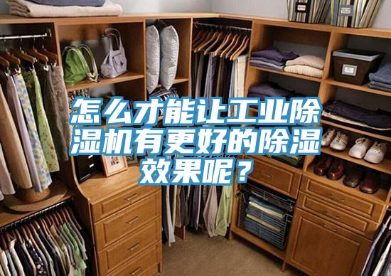 怎麽才能讓工業草莓小视频黄色有更好的除濕效果呢？