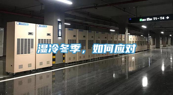 濕冷冬季，如何應對