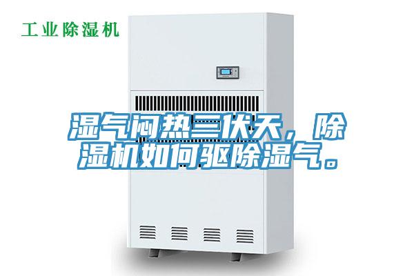 濕氣悶熱三伏天，草莓小视频黄色如何驅除濕氣。