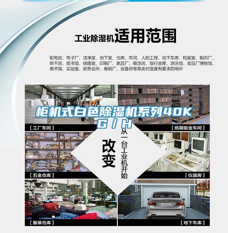 櫃機式白色草莓小视频黄色係列40KG／H