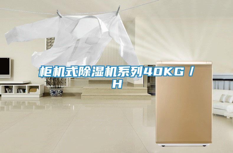 櫃機式草莓小视频黄色係列40KG／H