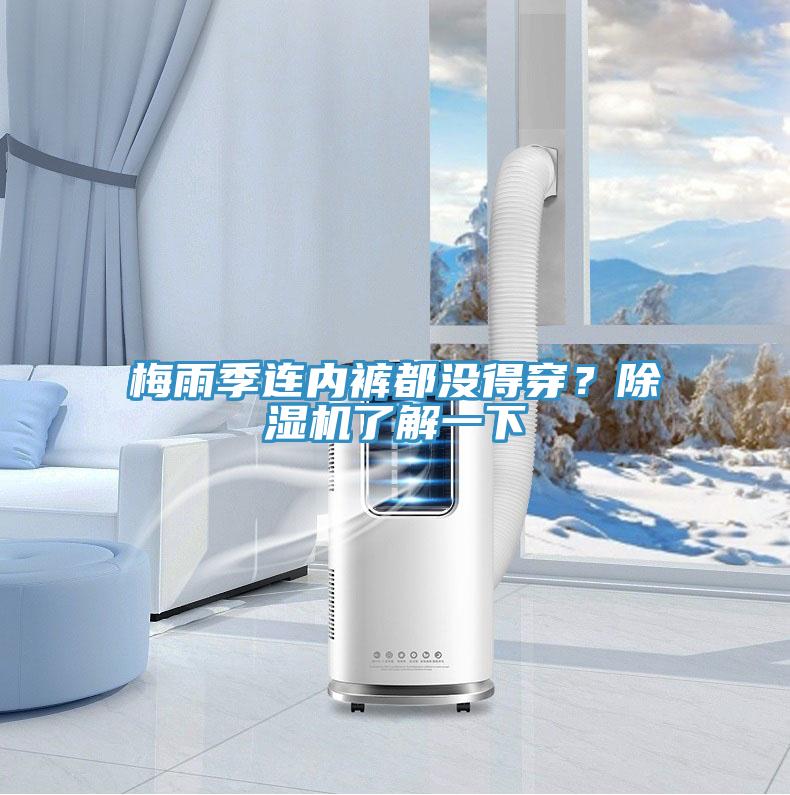 梅雨季連內褲都沒得穿？草莓小视频黄色了解一下