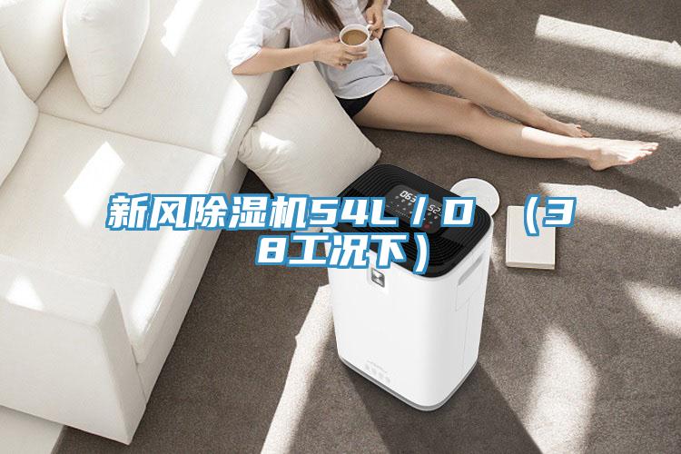 新風草莓小视频黄色54L／D （38工況下）