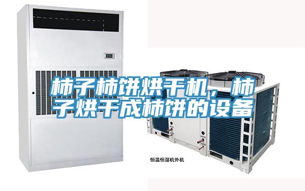 柿子柿餅烘幹機，柿子烘幹成柿餅的設備