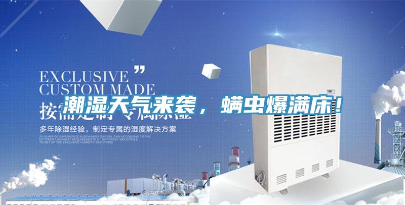 潮濕天氣來襲，蟎蟲爆滿床！