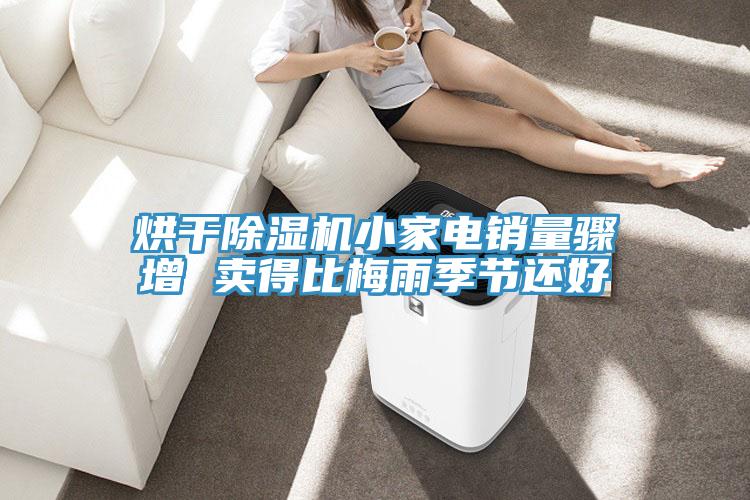 烘幹草莓小视频黄色小家電銷量驟增 賣得比梅雨季節還好