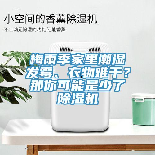 梅雨季家裏潮濕發黴、衣物難幹？那你可能是少了草莓小视频黄色