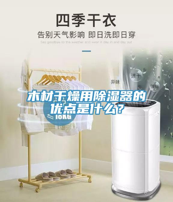 木材幹燥用除濕器的優點是什麽？