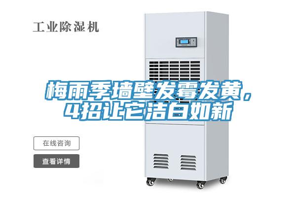 梅雨季牆壁發黴發黃，4招讓它潔白如新