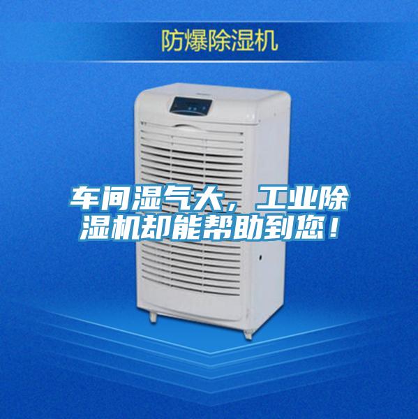 車間濕氣大，工業草莓小视频黄色卻能幫助到您！