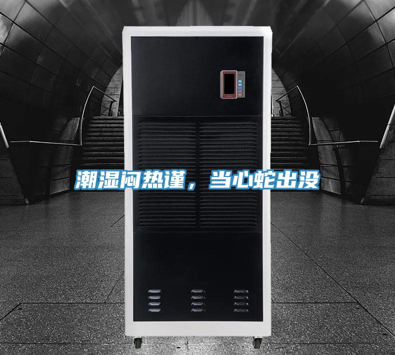 潮濕悶熱謹，當心蛇出沒