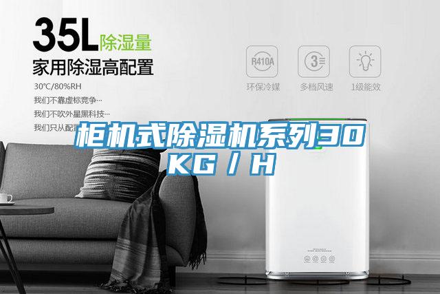 櫃機式草莓小视频黄色係列30KG／H