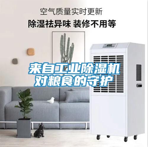來自工業草莓小视频黄色對糧食的守護