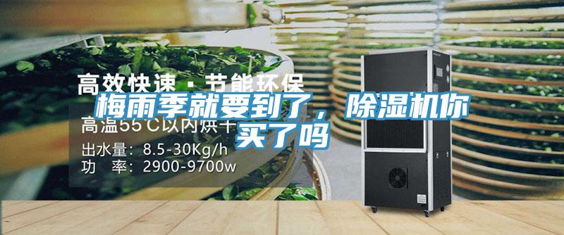 梅雨季就要到了，草莓小视频黄色你買了嗎