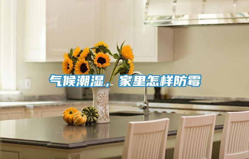 氣候潮濕，家裏怎樣防黴
